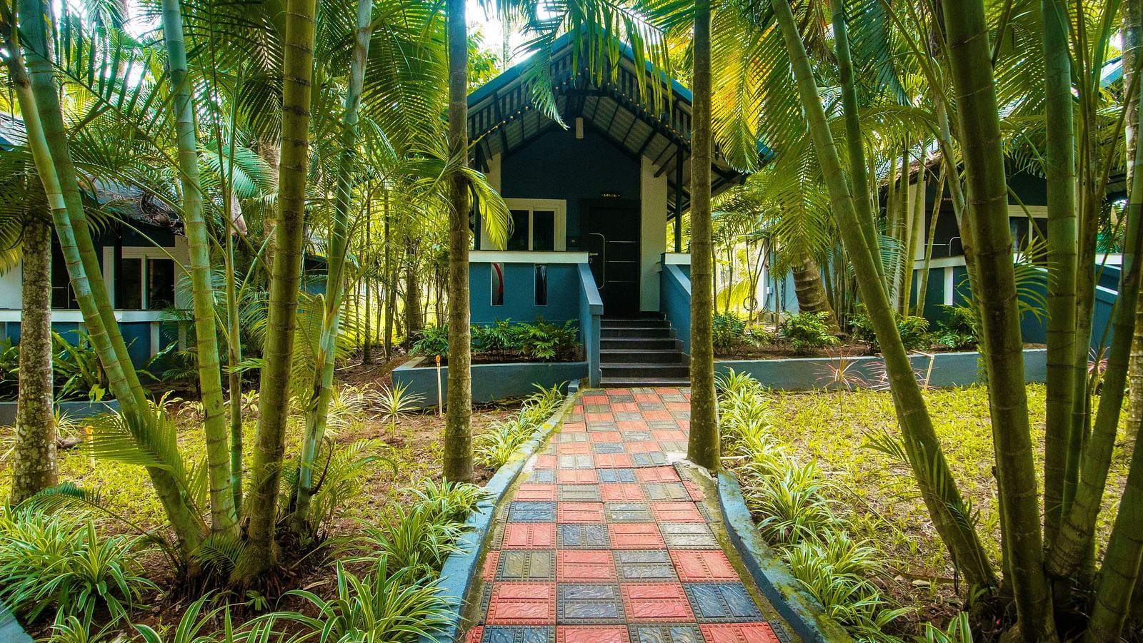 Image of a footpath surrounded by trees and plants at Parampara Resort & Spa, Kushalnagar.