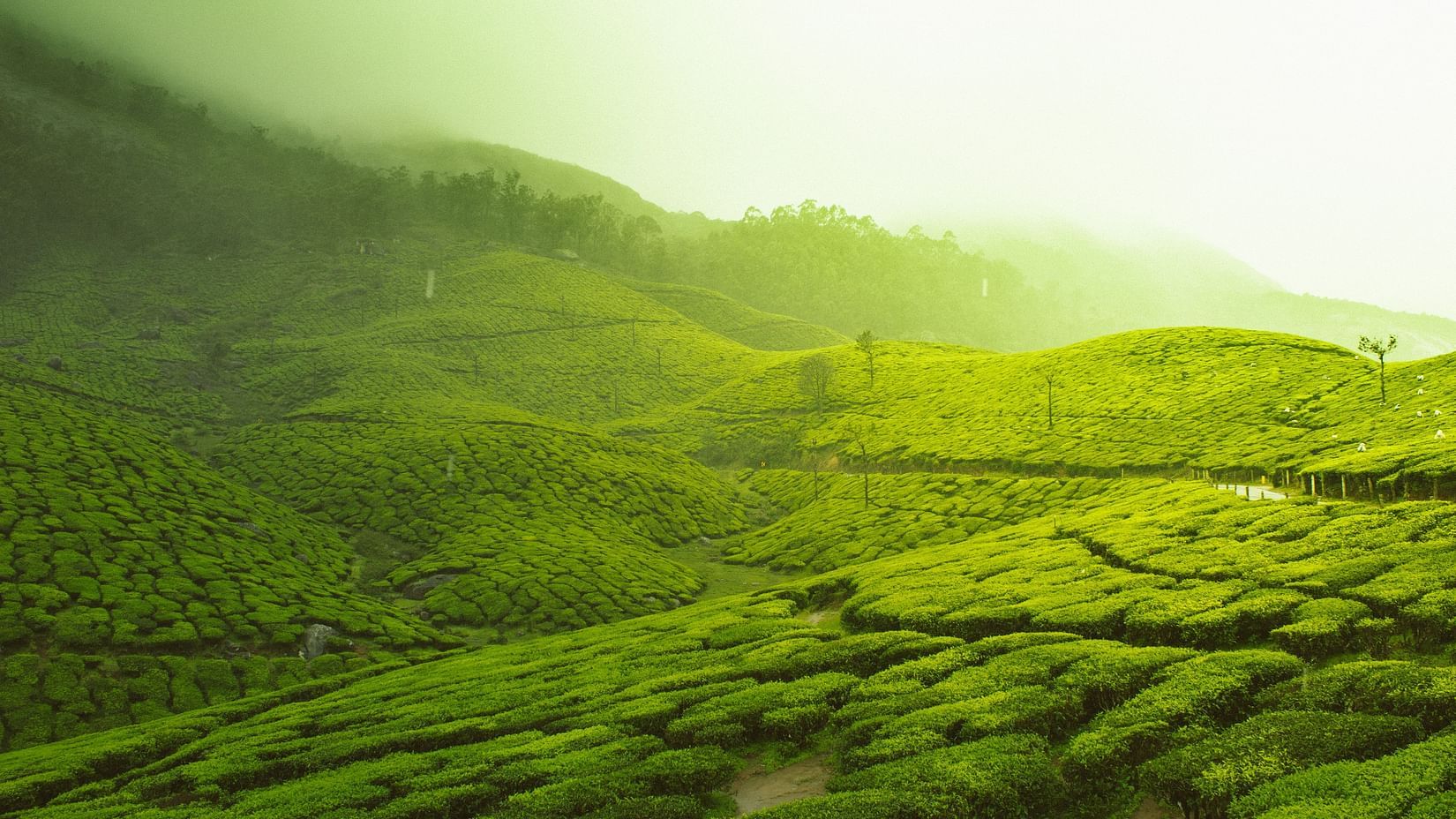 A view of green hills with a bright, hazy light source.