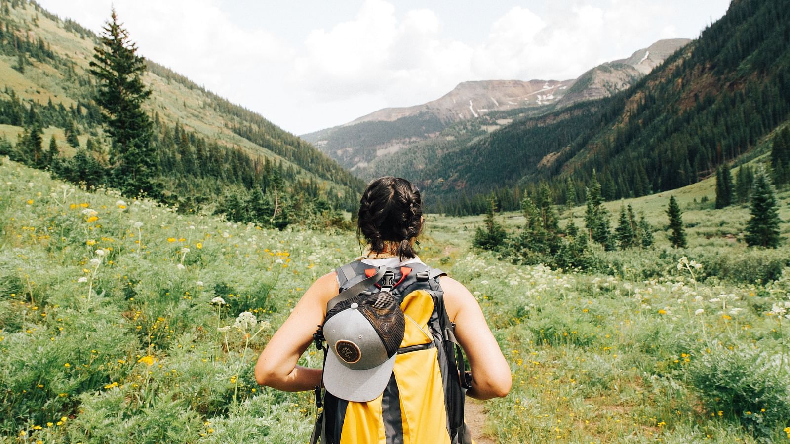 an image of a person trekking on a lush green field with mountains in the background