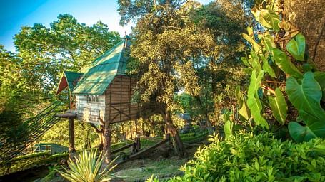 Great Escapes Resort, Munnar Munnar Tree House Great Escapes Resorts Munnar 3