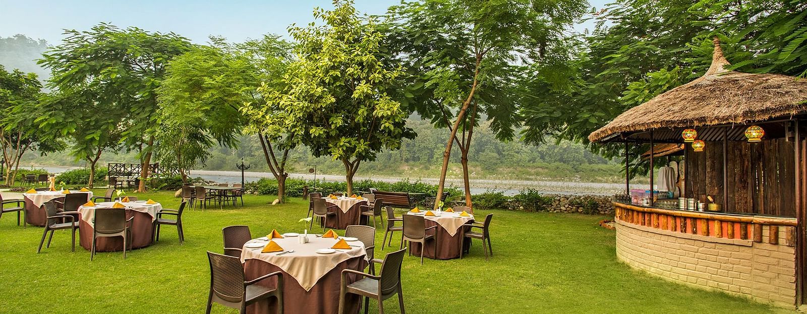 Garden sit-out area featuring grass and nearby trees.