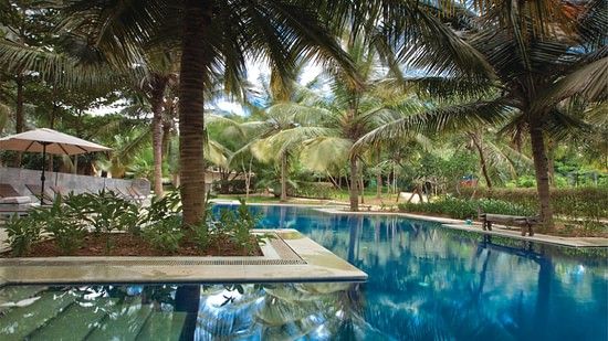 our pool in Kabini