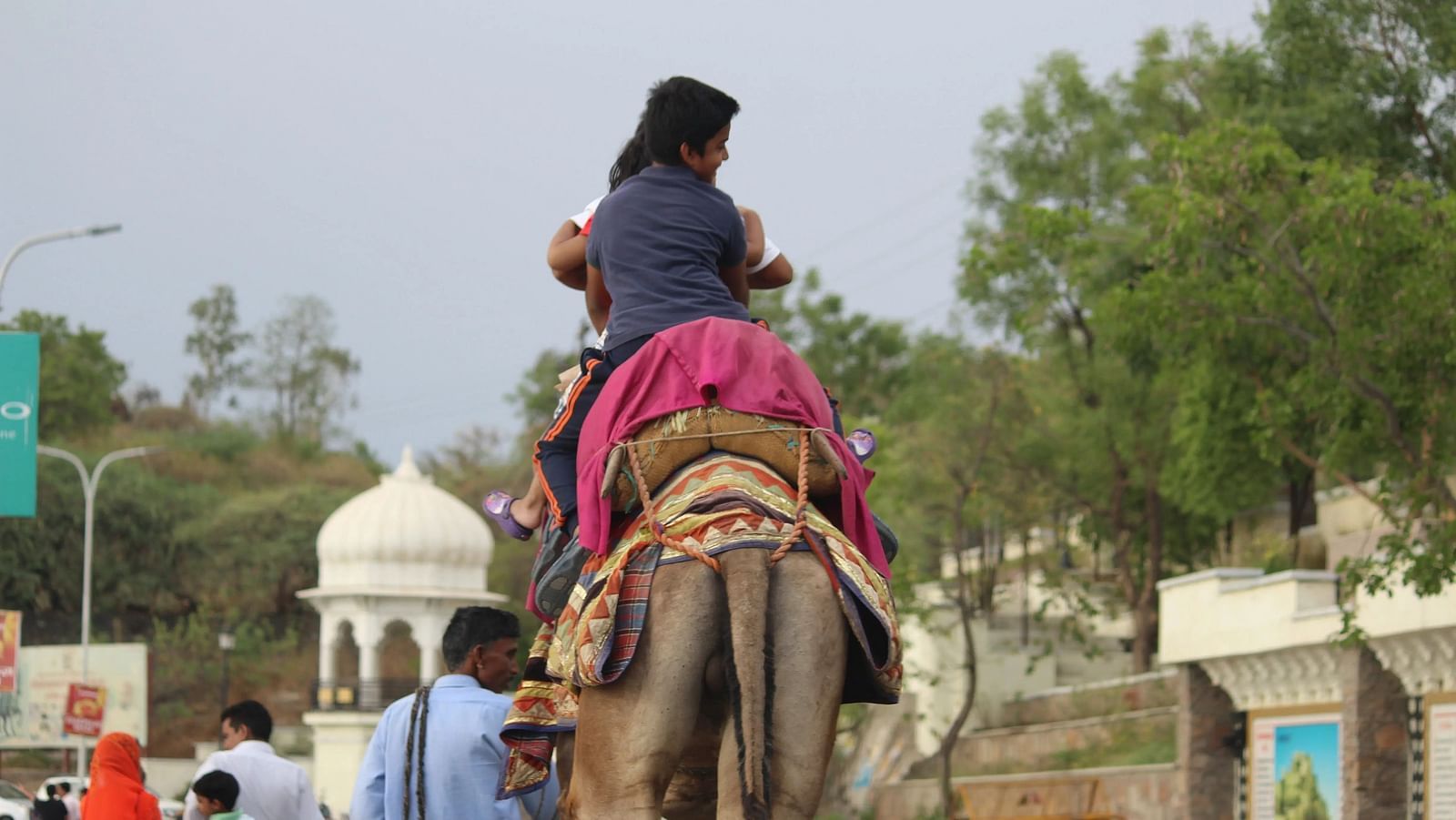 A person rides a camel, facing away from the viewer.