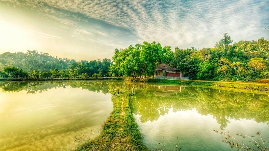 A small walking path next to water body with blue skies in the background - Capitol Village Resort, Madikeri