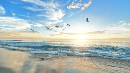 A pristine beach with the sun setting in the background and blue skies above it and birds flying