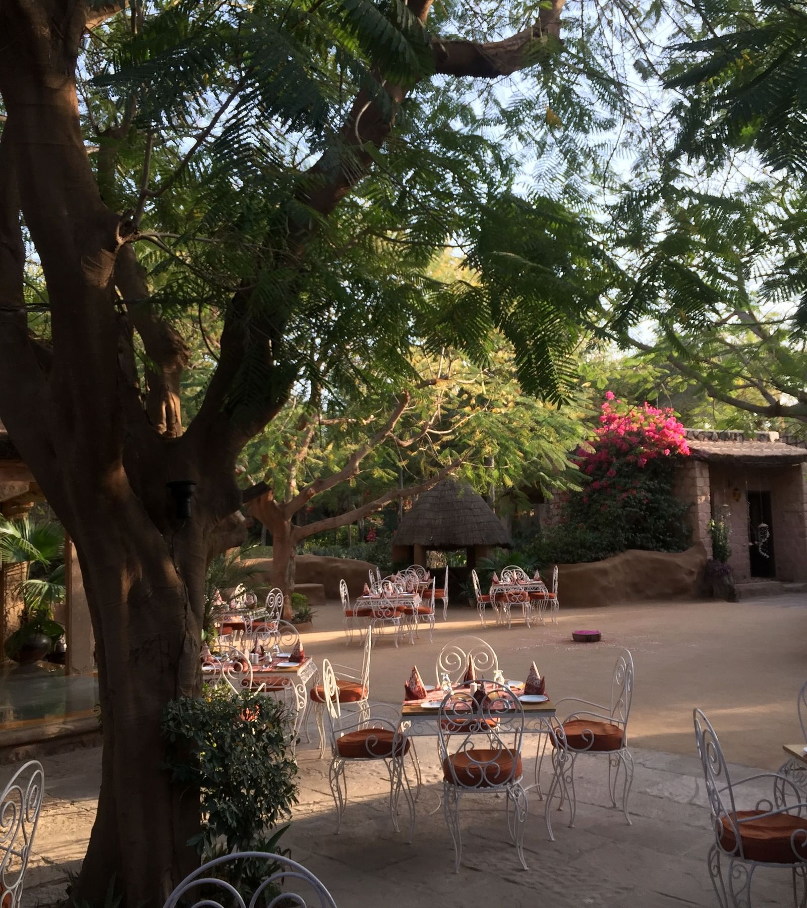 An image of the outdoor seating arrangement of the Taasli Restaurant at Manvar Shergarh with greenery around - Manvar Resort & Desert Camp