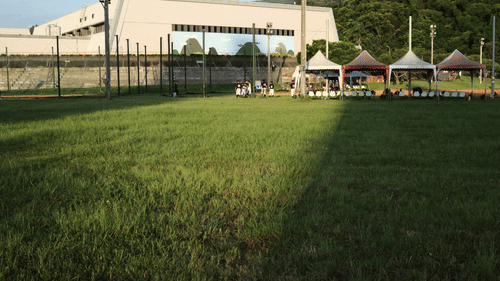 Lawn area with seating tents and a building in the background at Golden Tulip, Udaipur.