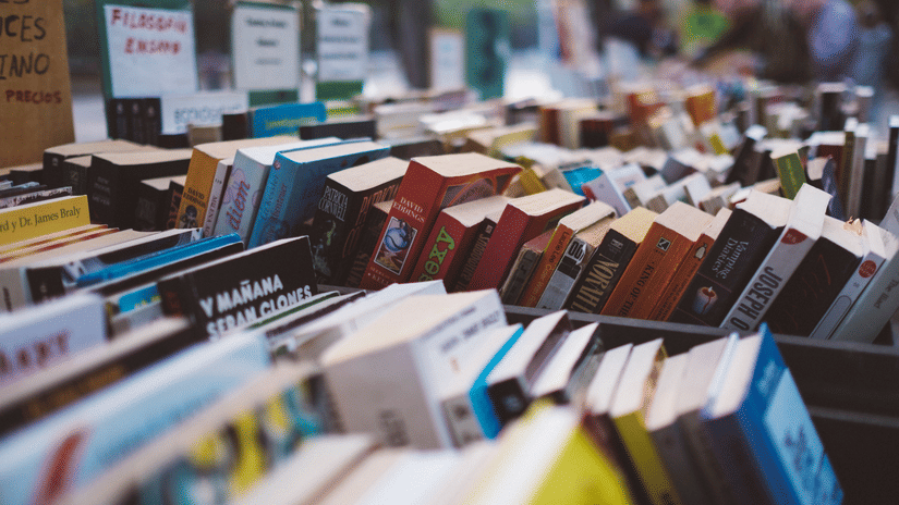 Rows of books displayed across shelves at a charming independent bookshop.