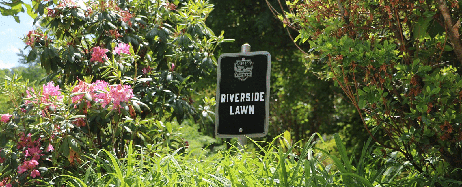 a beautiful lawn with enchanting flowery bushes featuring a sign board reading Riverside Lawn - Historic Tapoco Lodge