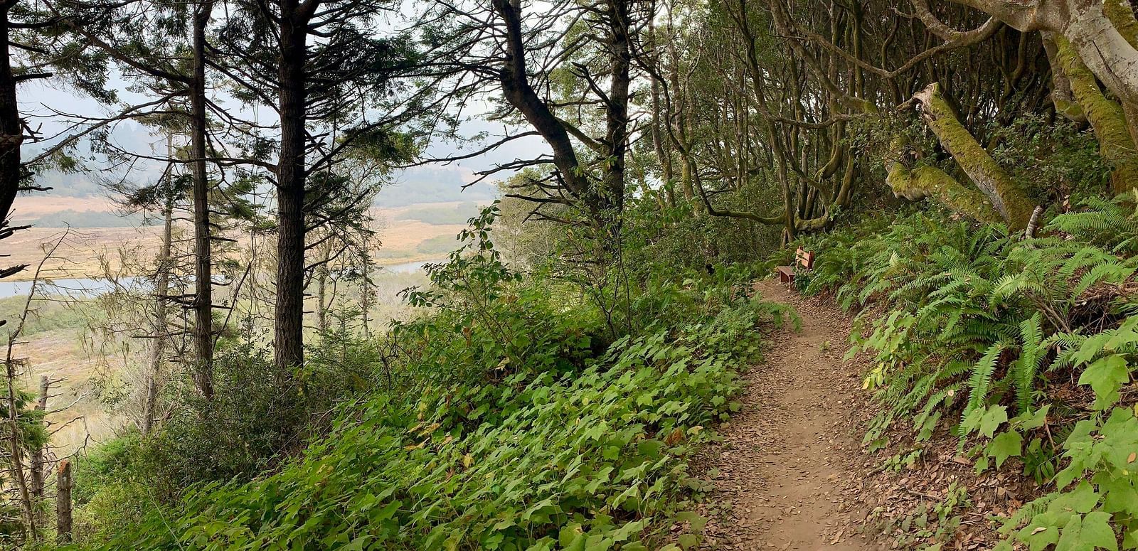 A dirt trail curves along a steep hillside overlooking a valley with a river and distant hills.