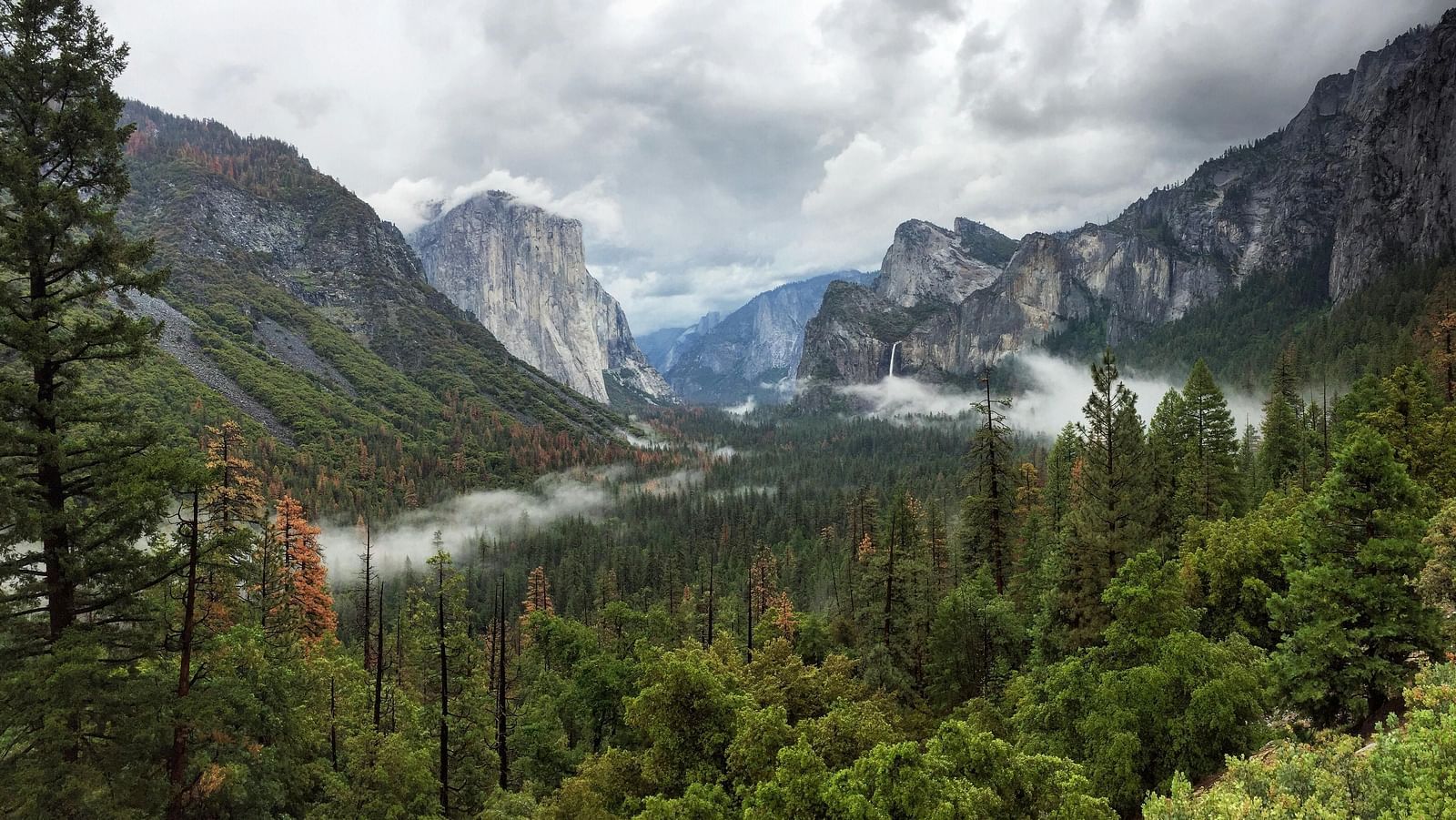 A view of a forest with mountains in the backdrop on a cloudy day - Amador Hotel.