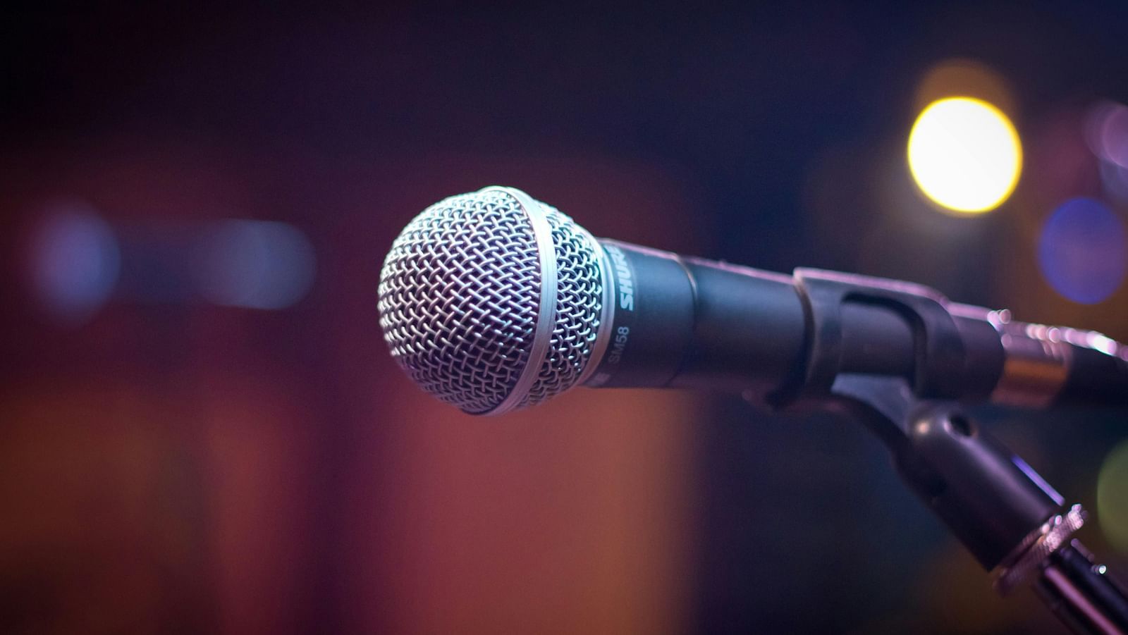 image of a microphone mounted on a stand