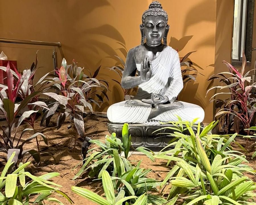 An image of a Buddha statue surrounded by grass and plants