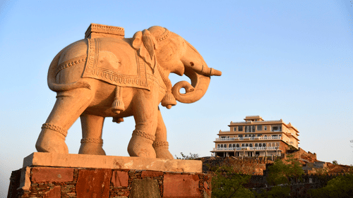 Fateh Safari Suits 0