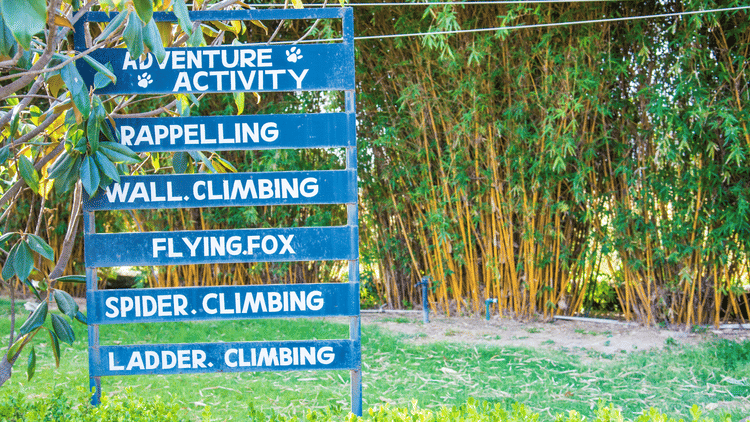 Recreation activity in jim corbett- The Golden Tusk