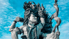 pexels-abhilash-subbayyan-1290534-6556790