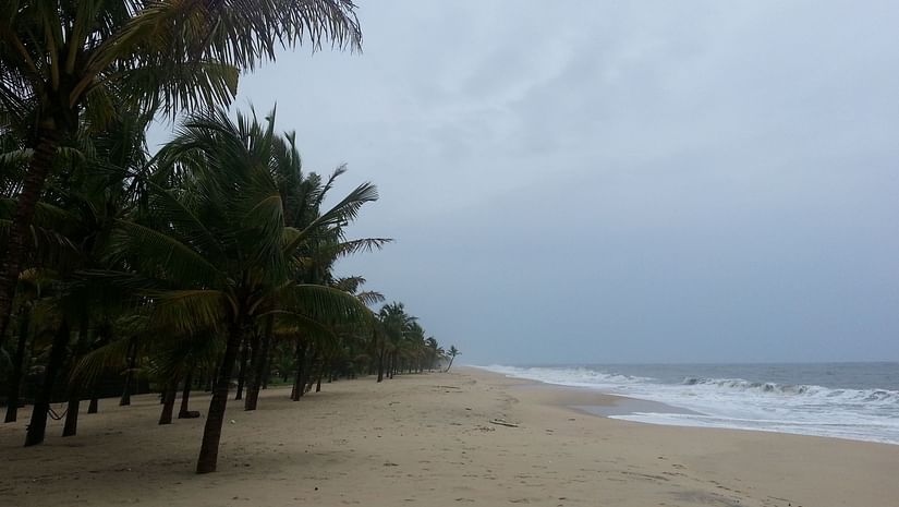 An image of a beach with palm trees near the shore and a clear sky in the background
