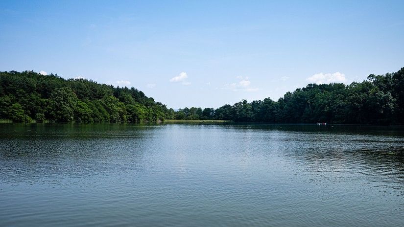 image of a calm and serene lake with dense green trees around