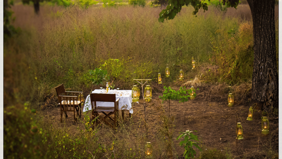 A secluded and romantic private dining table set for two in a grassy clearing, surrounded by glowing lanterns at dusk - Umaria Safari Camp