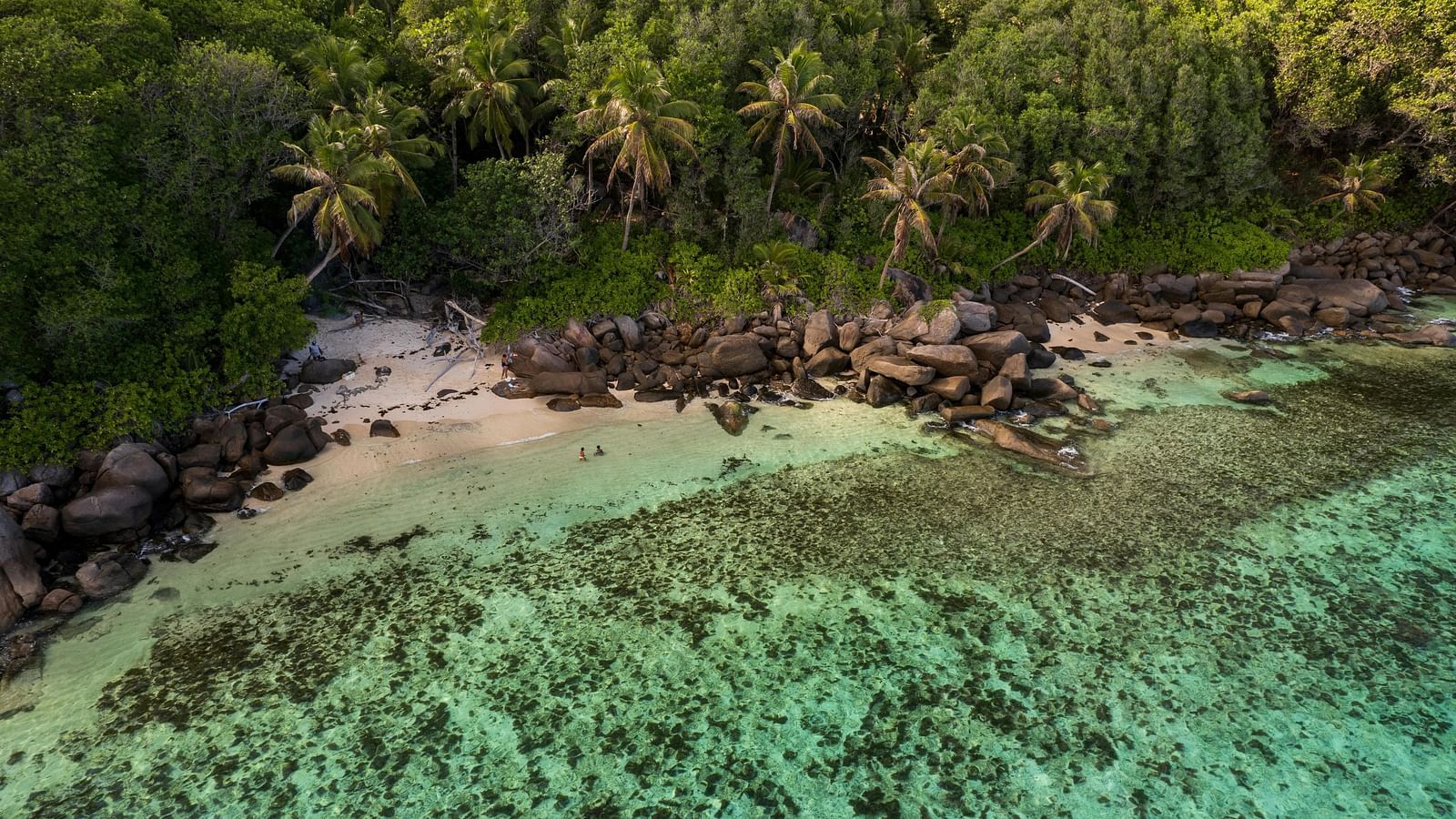 Aerial view of the Kappil coastline