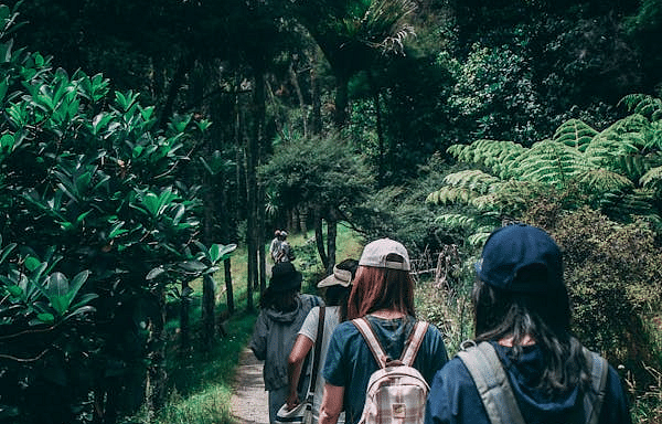 An image of a group of people on a trek