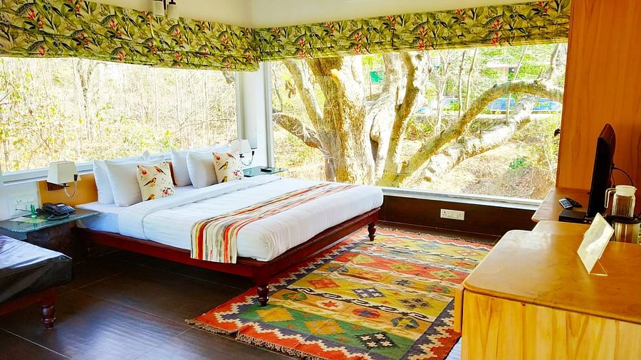 A full view of Tree house with a bed and glass windows | The Riverwood Forest Retreat, Pench