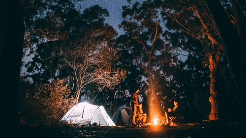 people enjoying bonfire at night