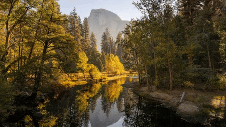 Reflective river in a forest with autumn foliage and a large mountain in the distance.