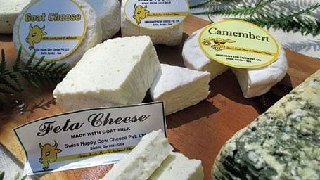 Bloacks of cheese placed on a brown surface with labels.