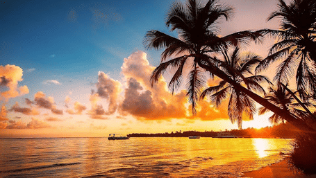 Ultimate Guide: Where to Stay in the Andaman & Nicobar Islands for 2026 — Smart Choices for Every Traveller