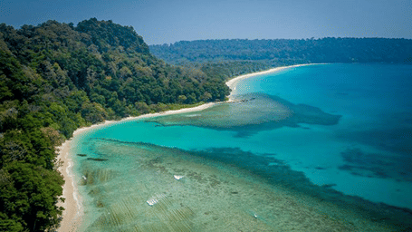 Aerial view of a tropical beach curving along a lush forest and clear blue waters