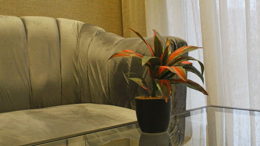 View of living area in 1 BHK which has plush sofa and a vase - Maxxvalue Apartment, Hiranandani, Powai