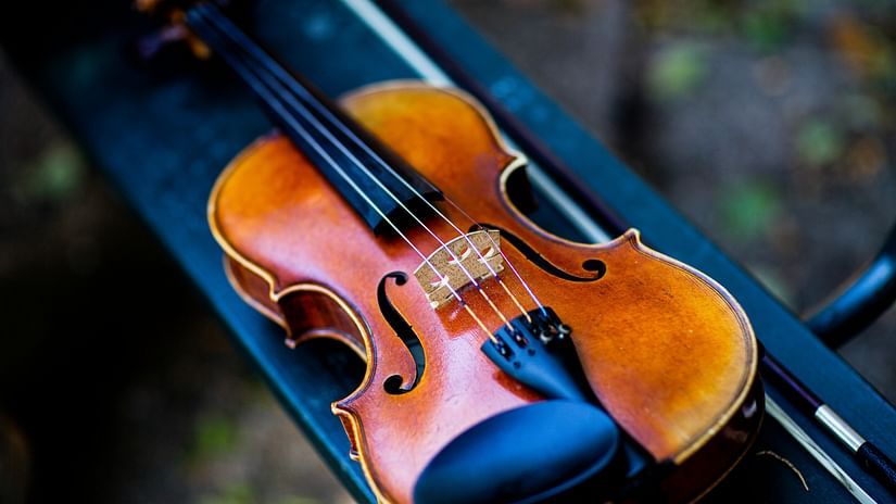 A close-up of a polished wooden violin resting in its open case.