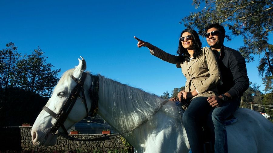 a couple on a horse