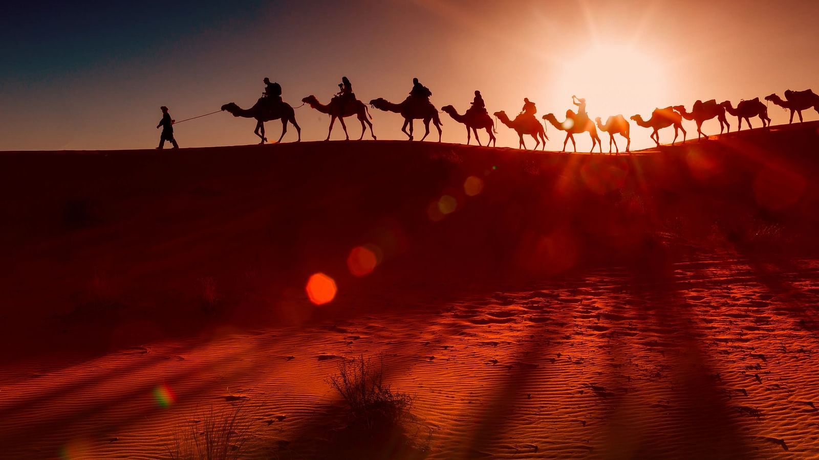 A silhouetted camel caravan treks across a desert ridge against a bright, setting sun.