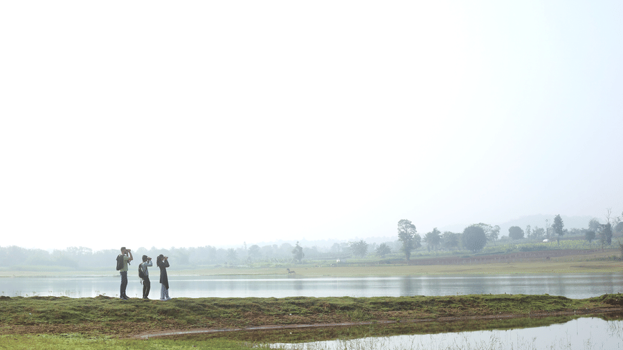 Misty paddy fields and open landscape near Evolve Back Kabini