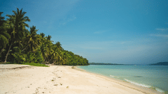 Powdery sand beach in Andaman & Nicobar featuring the green trees and the sea water.