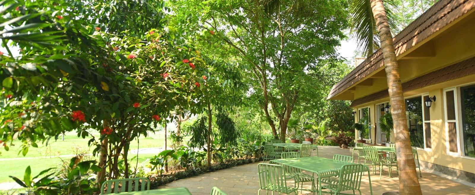 Outdoor patio with green flooring, surrounded by trees and plants, next to a building with a sloped roof and large glass windows at Fireflies Resorts, Kabini.