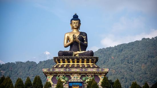 Large golden Buddha statue seated in meditation pose with forested hills in peaceful background