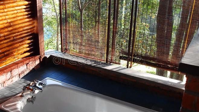 bathroom-open-concept-mountain-scenic-view-28916840