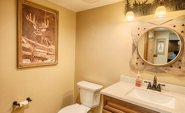 a bathroom featuring a well defined vanity area along with a commode and a beautiful painting - Historic Tapoco Lodge