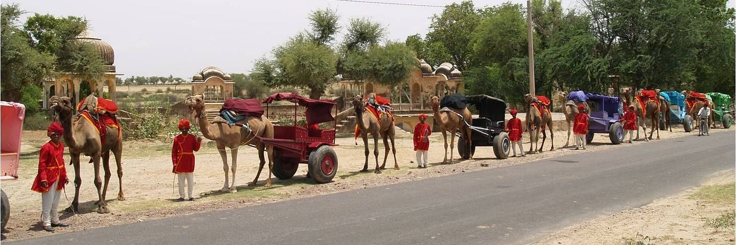 A line of people with camels with chariots for camel rides - Hotel Castle Mandawa, Jhunjunu