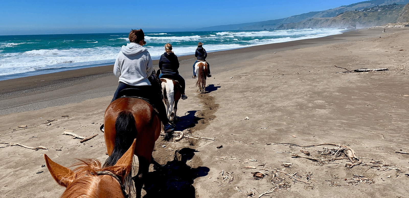 Three people on horseback ride along a sandy beach.