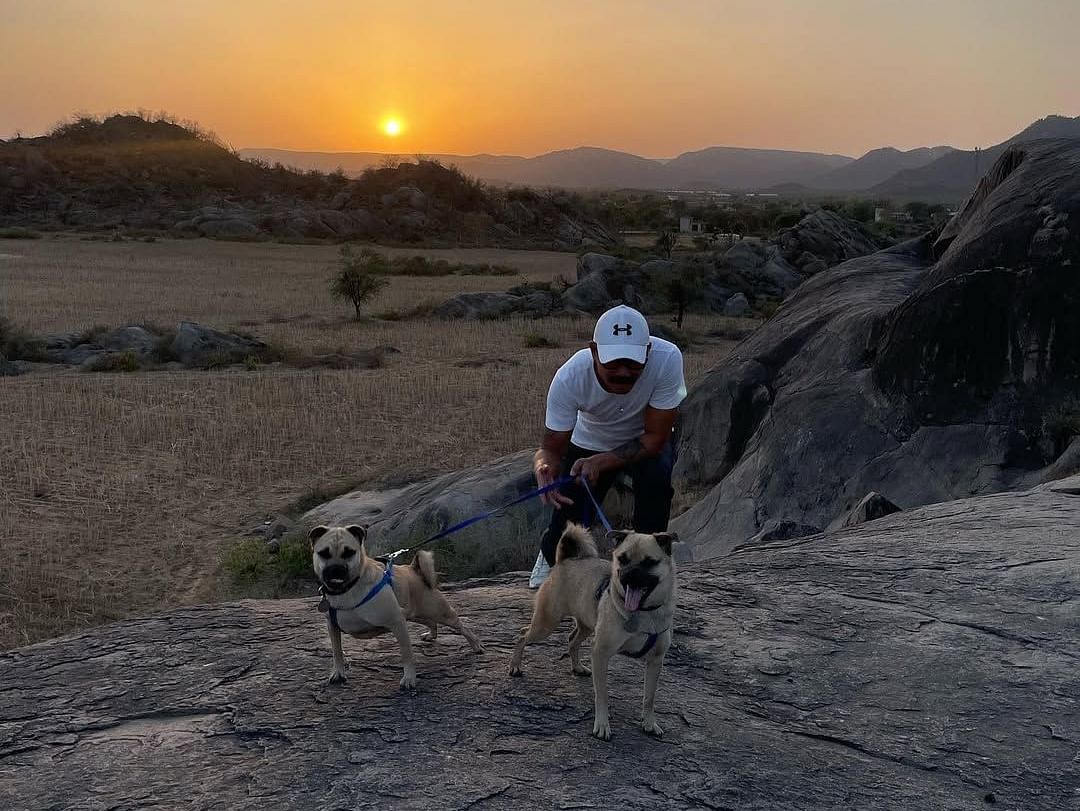 A person is taking 2 dogs on a walk with a backdrop of rugged hills and sunset - Utsav Camp, Sariska