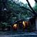 Tiger Camp Resort, Corbett Uttarakhand Deluxe Cottages Tiger Camp Corbett