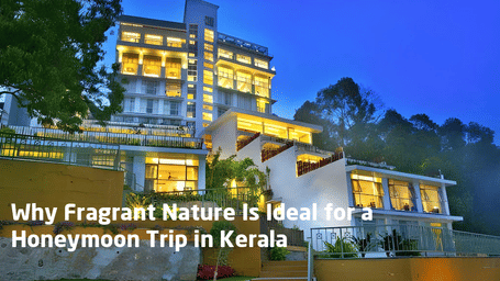 Why-Fragrant-Nature-Is-Ideal-for-a-Honeymoon-Trip-in-Kerala