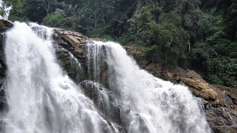 8Wayanad OnN
