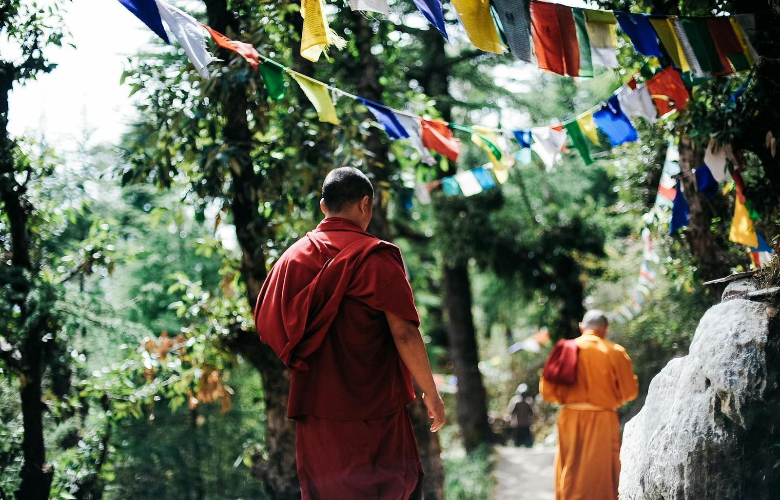 an image of a buddhist monks walking in the woods