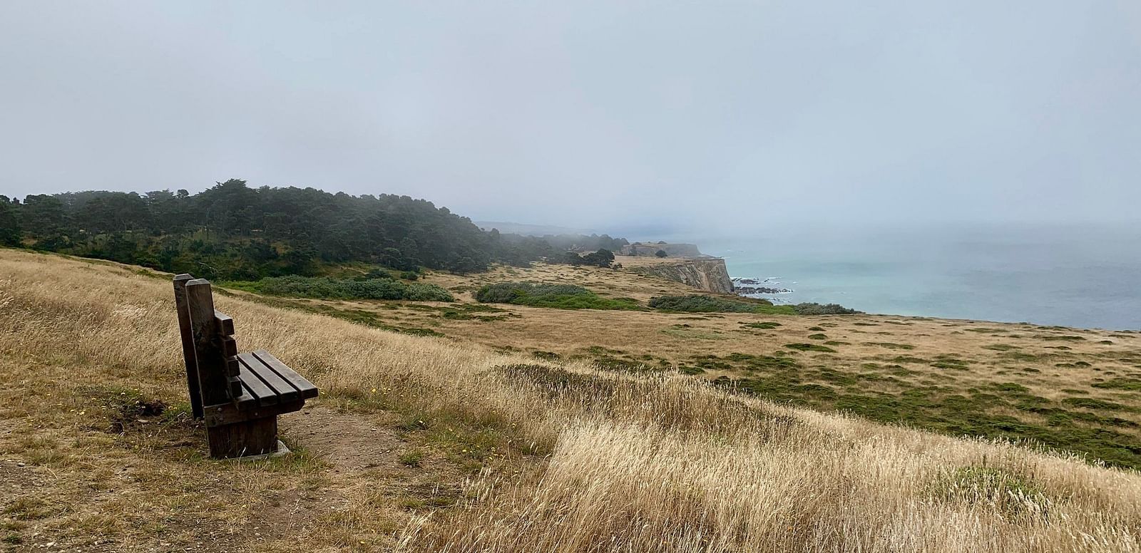 A bench sits on a grassy hillside overlooking a body of water and a distant shoreline under an overcast sky.