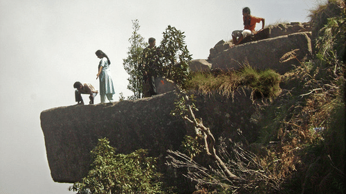 Dolphin s nose view point